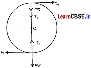 CBSE Sample Papers for Class 11 Physics Set 2 with Solutions 10