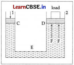 CBSE Sample Papers for Class 11 Physics Set 3 with Solutions 6