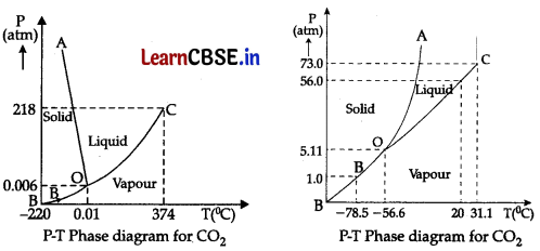 CBSE Sample Papers for Class 11 Physics Set 4 with Solutions 6