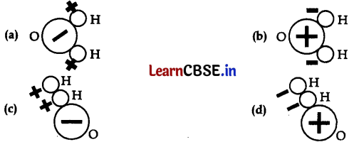 CBSE Sample Papers for Class 11 Physics Set 5 with Solutions 3