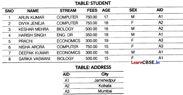 CBSE Sample Papers for Class 12 Computer Applications Set 9 with Solutions 2