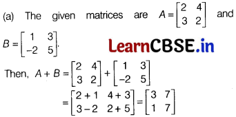CBSE Sample Papers for Class 12 Maths Set 11 with Solutions 19