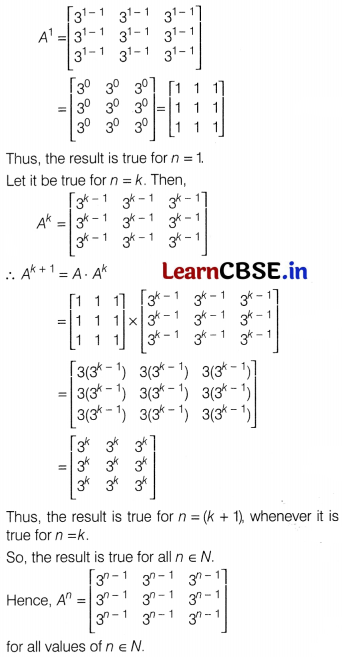 CBSE Sample Papers for Class 12 Maths Set 12 with Solutions 45