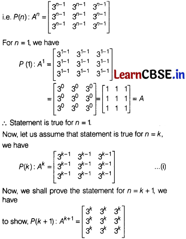 CBSE Sample Papers for Class 12 Maths Set 8 with Solutions 47