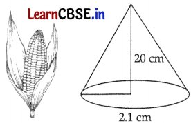 CBSE Sample Papers for Class 9 Maths Set 4 with Solutions Q36