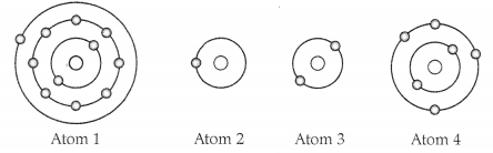 CBSE Sample Papers for Class 9 Science Set 5 with Solutions 2