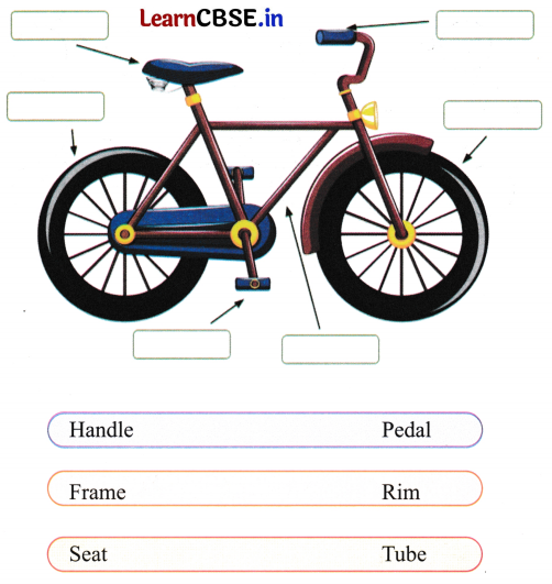 A bicycle is a means of transportation. It is a two wheeled vehicle 5