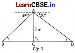 CBSE Class 10 Maths Question Paper 2022 (Term-II) with Solutions 7