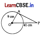 CBSE Class 10 Maths Question Paper 2023 (Series WX1YZ 4) with Solutions 29