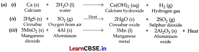 CBSE Class 10 Science Question Paper 2019 Series JMS 1 with Solutions Img 22