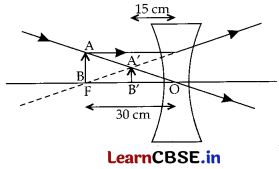 CBSE Class 10 Science Question Paper 2019 Series JMS 1 with Solutions Img 23