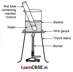 CBSE Class 10 Science Question Paper 2019 Series JMS 4 with Solutions Img 12