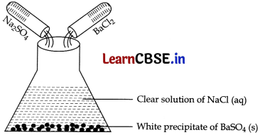 CBSE Class 10 Science Question Paper 2019 Series JMS 4 with Solutions Img 22
