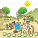 Joyful Mathematics Class 1 Solutions Chapter 6 Vegetable Farm (Addition and Subtraction up to 20) 1