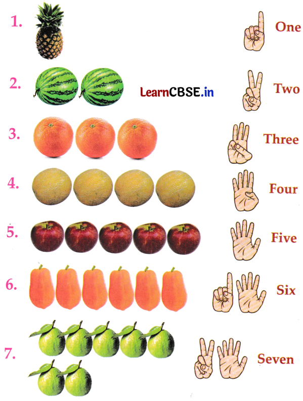Joyful Mathematics Class 1 Worksheet Chapter 3 Mango Treat (Numbers 1 to 9) 3