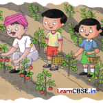 Joyful Mathematics Class 1 Worksheet Chapter 6 Vegetable Farm (Addition and Subtraction up to 20) 1