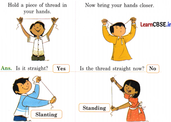 Joyful Mathematics Class 2 NCERT Solutions Chapter 5 Playing with Lines (Orientations of a Line) 8