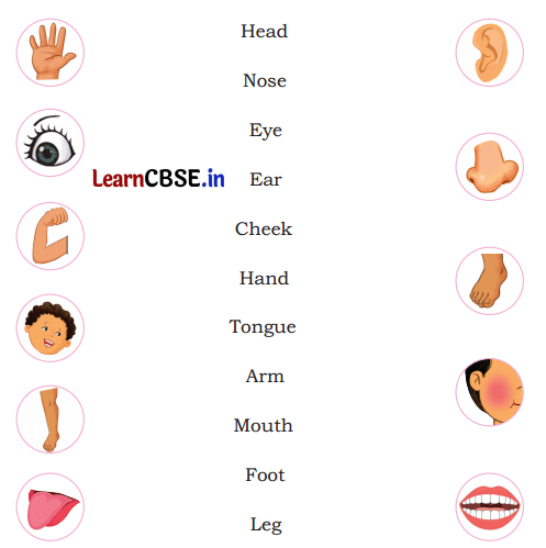 Mridang Class 1 English Solutions Chapter 1 Two Little Hands 1