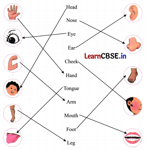 Mridang Class 1 English Solutions Chapter 1 Two Little Hands 21