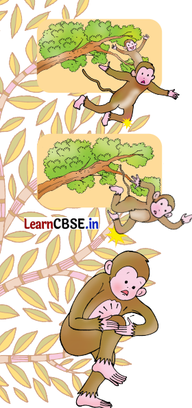 Mridang Class 1 English Solutions Chapter 3 Picture Time 11