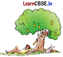 Mridang Class 1 English Solutions Chapter 6 Fun with Pictures 11