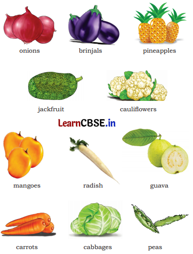 Mridang Class 1 English Solutions Chapter 6 Fun with Pictures 4