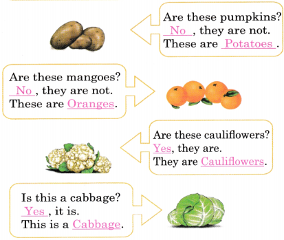 Mridang Class 1 English Solutions Chapter 6 Fun with Pictures 8