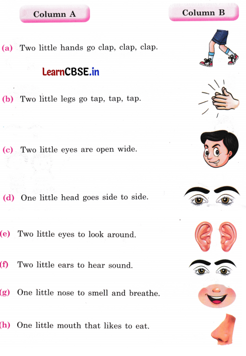 Mridang Class 1 English Worksheet Chapter 1 Two Little Hands 1