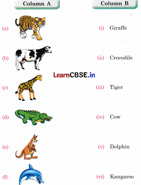 Mridang Class 1 English Worksheet Chapter 3 Picture Time 12