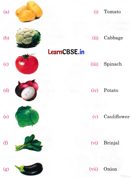 Mridang Class 1 English Worksheet Chapter 6 Fun with Pictures 2
