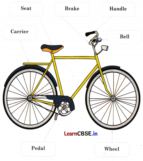 Mridang Class 2 English Solutions Chapter 1 My Bicycle 6