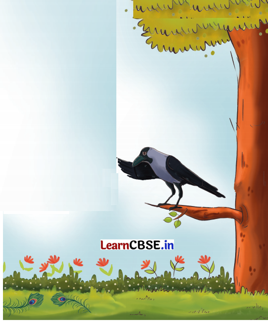 Mridang Class 2 English Solutions Chapter 10 The Crow 9