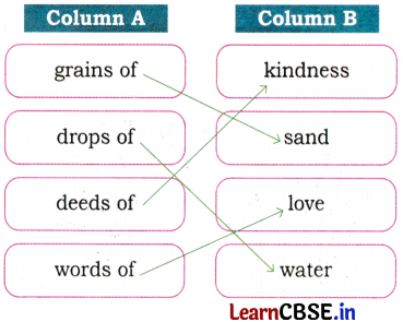 Mridang Class 2 English Solutions Chapter 12 Little Drops of Water 10