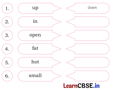 Mridang Class 2 English Solutions Chapter 2 Picture Reading 2