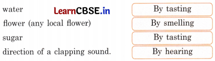 Mridang Class 2 English Solutions Chapter 4 Seeing without Seeing 1