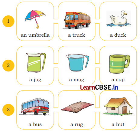 Mridang Class 2 English Solutions Chapter 5 Come Back Soon 4
