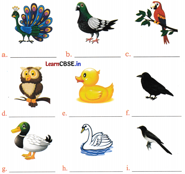 Mridang Class 2 English Worksheet Chapter 10 The Crow 2