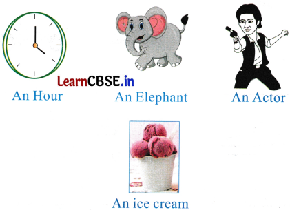 Mridang Class 2 English Worksheet Chapter 5 Come Back Soon 4