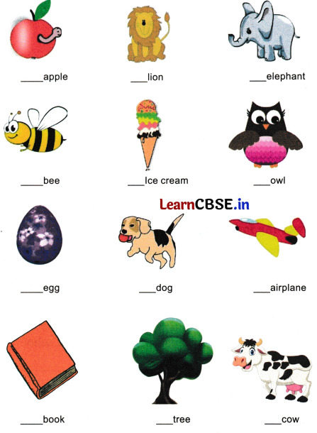 Mridang Class 2 English Worksheet Chapter 5 Come Back Soon 5