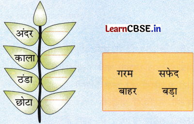 NCERT Class 1 Hindi Sarangi Worksheet Chapter 6 तीन साथी 12