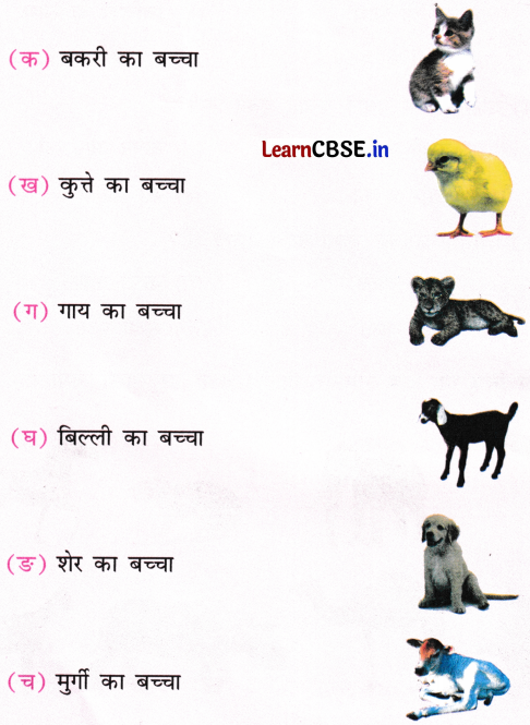 NCERT Class 1 Hindi Sarangi Worksheet Chapter 6 तीन साथी 5