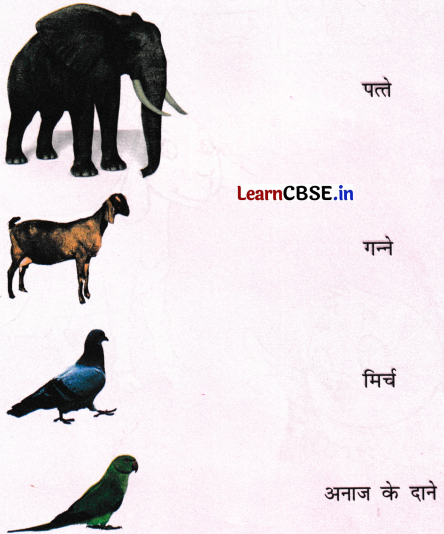 NCERT Class 1 Hindi Sarangi Worksheet Chapter 6 तीन साथी 8