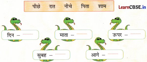 NCERT Class 1 Hindi Sarangi Worksheet Chapter 8 खतरे में साँप 4