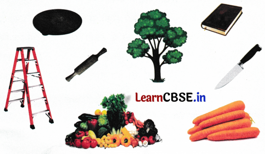 Sarangi Class 1 Hindi Worksheet Chapter 12 फूली रोटी 1