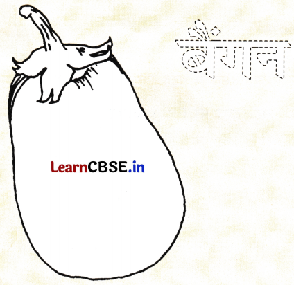 Sarangi Class 1 Hindi Worksheet Chapter 12 फूली रोटी 11