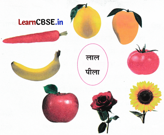 Sarangi Class 1 Hindi Worksheet Chapter 12 फूली रोटी 5