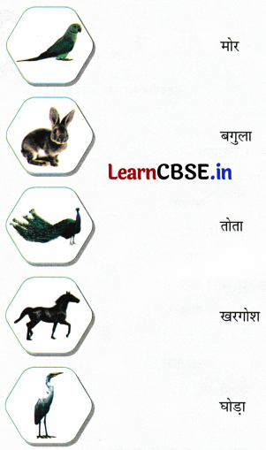 Sarangi Class 1 Hindi Worksheet Chapter 18 कितनी प्यारी है ये दुनिया 5