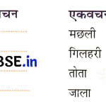 Sarangi Class 2 Hindi Worksheet Chapter 12 तोसिया का सपना 5