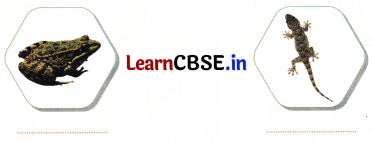 Sarangi Class 2 Hindi Worksheet Chapter 13 तालाब1 3