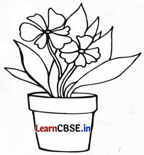 Sarangi Class 2 Hindi Worksheet Chapter 14 बीज 5